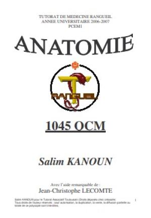 Anatomie